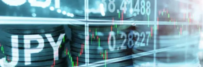  Forex/FX