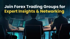 Join Forex Trading Groups for Expert Insights & Networking