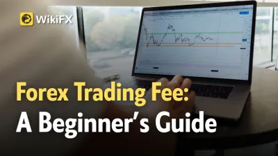 What Is Forex Trading Fee? A Beginner’s Guide