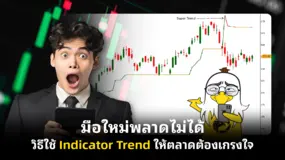 มือใหม่พลาดไม่ได้ วิธีใช้ Indicator Trend ให้ตลาดต้องเกรงใจ
