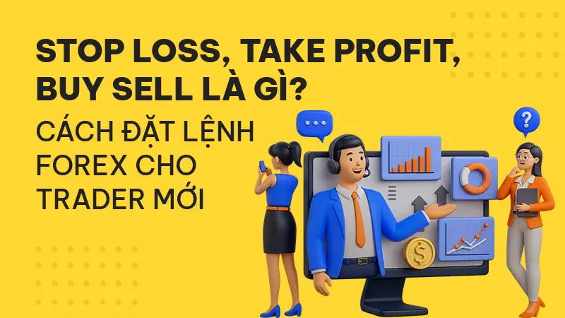 Stop loss, Take profit, Buy/Sell là gì? Cách dùng lệnh trong Forex