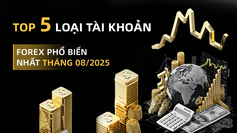 Top 5 loại tài khoản Forex phổ biến nhất tháng 8/2025