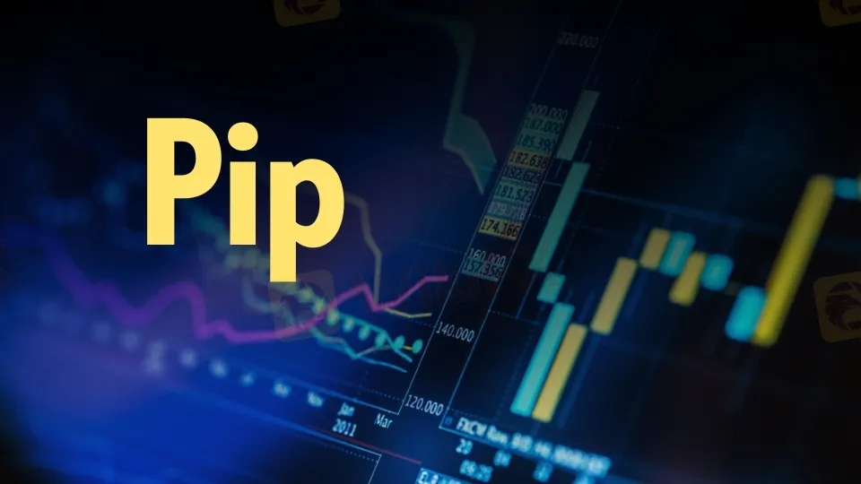 pip-wikifx.jpg