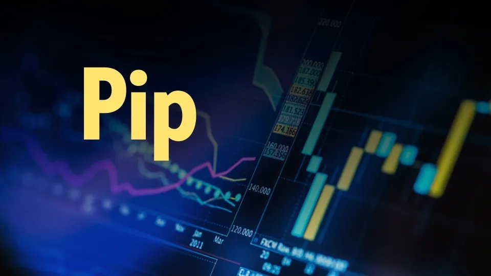 pip-wikifx.jpg