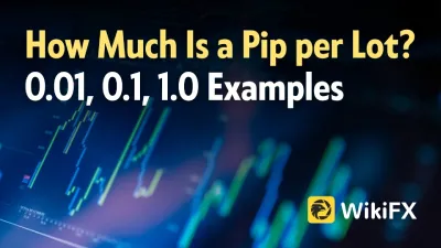 How Much Is a Pip per Lot? 0.01, 0.1, 1.0 Examples