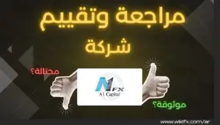 تقييم شركة A1FX — تحذير للمستثمرين