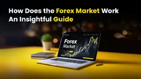 How Does the Forex Market Work - An Insightful Guide