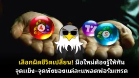 เลือกผิดชีวิตเปลี่ยน! มือใหม่ต้องรู้ให้ทัน จุดแข็ง–จุดพังของแต่ละแพลตฟอร์มเทรด