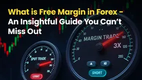 What is Free Margin in Forex - An Insightful Guide You Can’t Miss Out