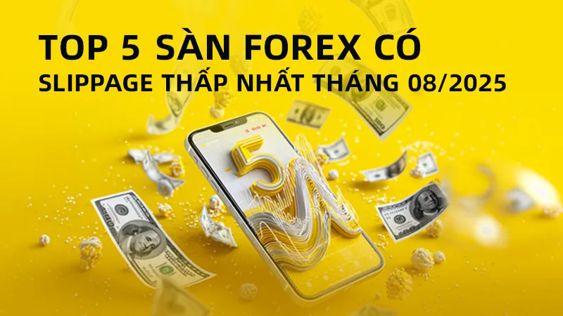 vn800X450-文章头图A 拷贝 12.jpg
