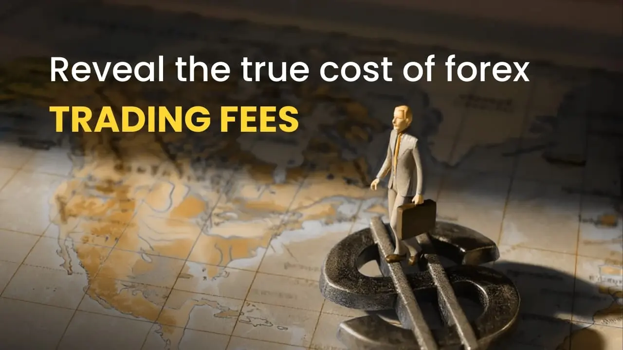 Reveal the true cost of forex trading fees