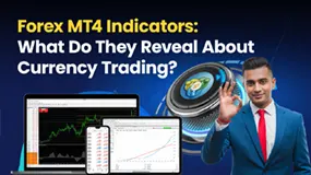 Forex MT4 Indicators: What Do They Reveal About Currency Trading?