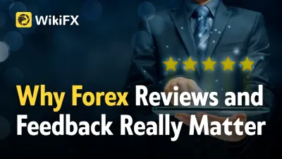 Why Forex Reviews and Feedback Really Matter