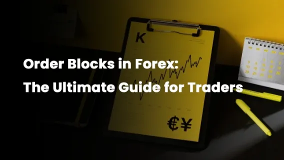 Order Blocks in Forex: The Ultimate Guide for Traders