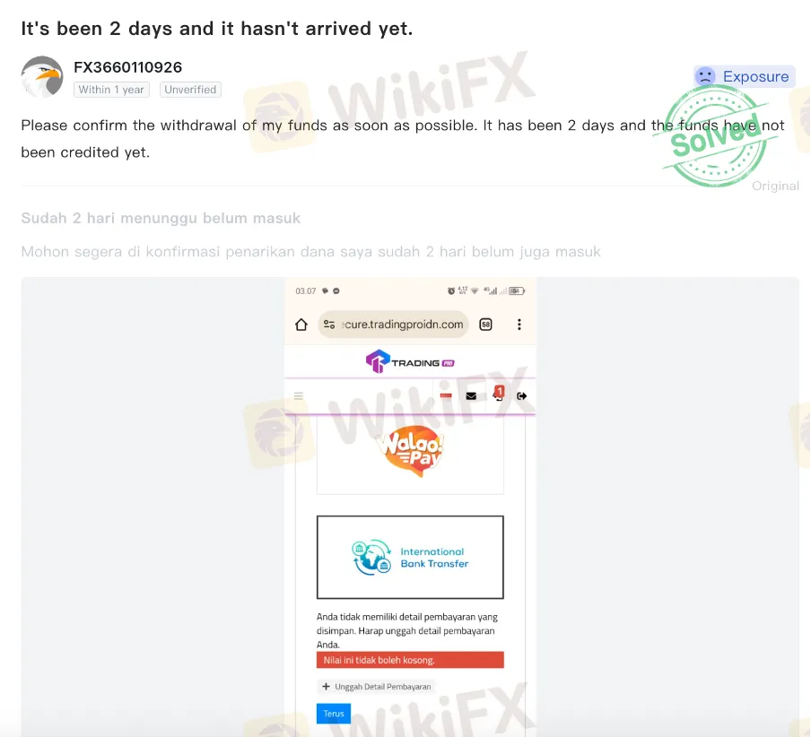 Picture5.png