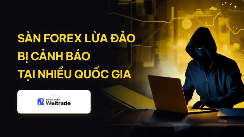 WikiFX cảnh báo sàn Forex lừa đảo WELTRADE: Tổ chức lừa đảo xuyên quốc gia