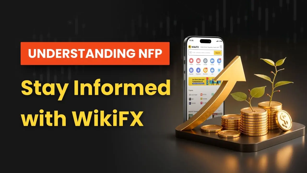 Understanding NFP | Stay Informed with WikiFX