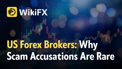 Why Are Scam Accusations Rare for Regulated Forex Brokers in the USA?