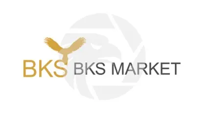 BKS Markets南非FSCA牌照未通過驗證，網站疑似詐騙風險高