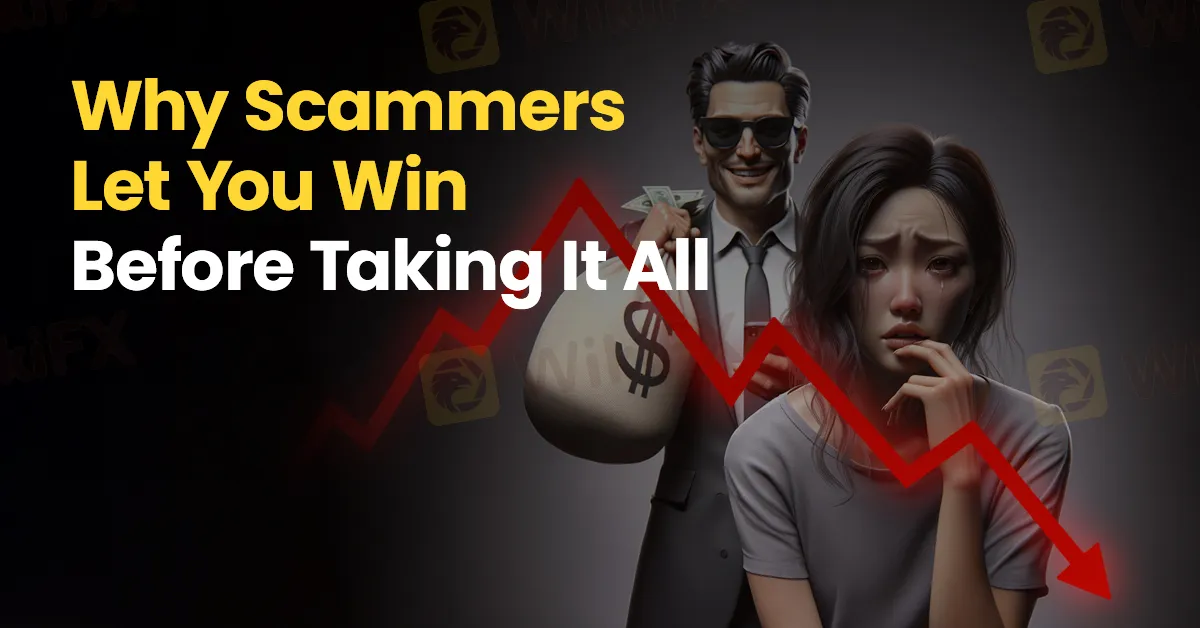 why scammers let you win.jpeg