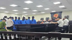 Đối tượng thành lập 27 công ty "ma" cho Mr. Pips lãnh án 18 năm tù