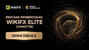 WikiFX Luncurkan Pembentukan Komite Elit: Siapa yang Akan Terpilih menjadi Anggota Periode Pertama?