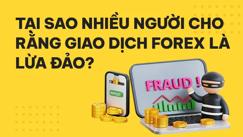 Tại sao nhiều người Việt lại cho rằng giao dịch Forex là lừa đảo?