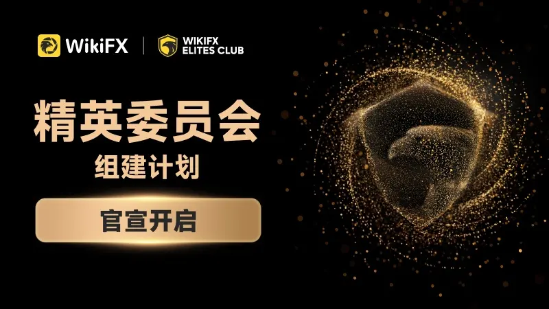 精英委员会组建计划正式开启，谁将入选首届成员？