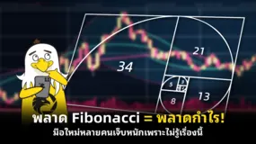 พลาด Fibonacci = พลาดกำไร! มือใหม่หลายคนเจ็บหนักเพราะไม่รู้เรื่องนี้