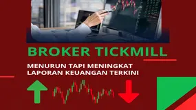 Terbaru Menurun Tapi Meningkat ?! Review Laporan Keuangan Resmi Broker Forex Tickmill