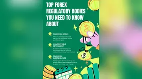 Top Forex Regulatory Bodies You Need to Know 