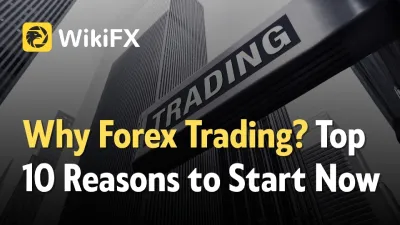 Why Forex Trading? Top 10 Reasons to Start Now
