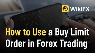 How to Use a Buy Limit Order in Forex Trading