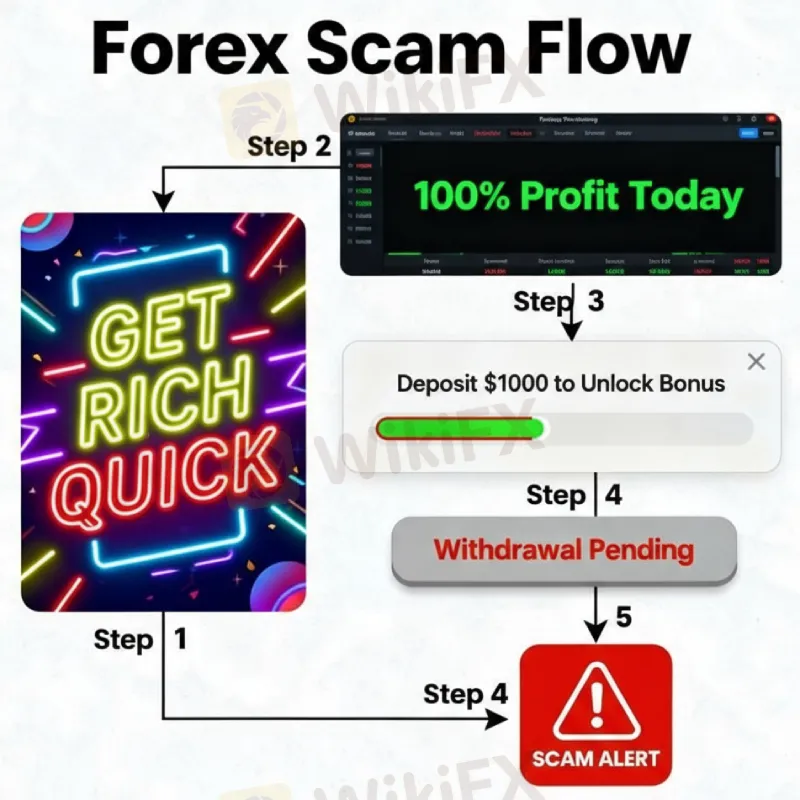 forex-scam-flow.jpg forex-scam-flow.jpg