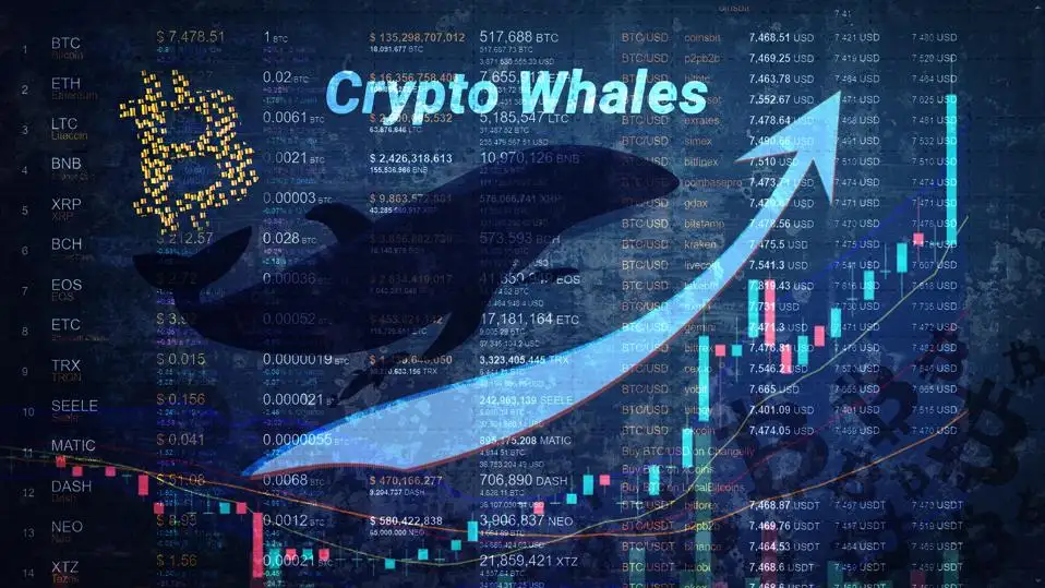 Người nhà Trump là 'cá voi' đã short Bitcoin trên Hyperliquid? Bí ẩn về Insider Whale gây tranh cãi