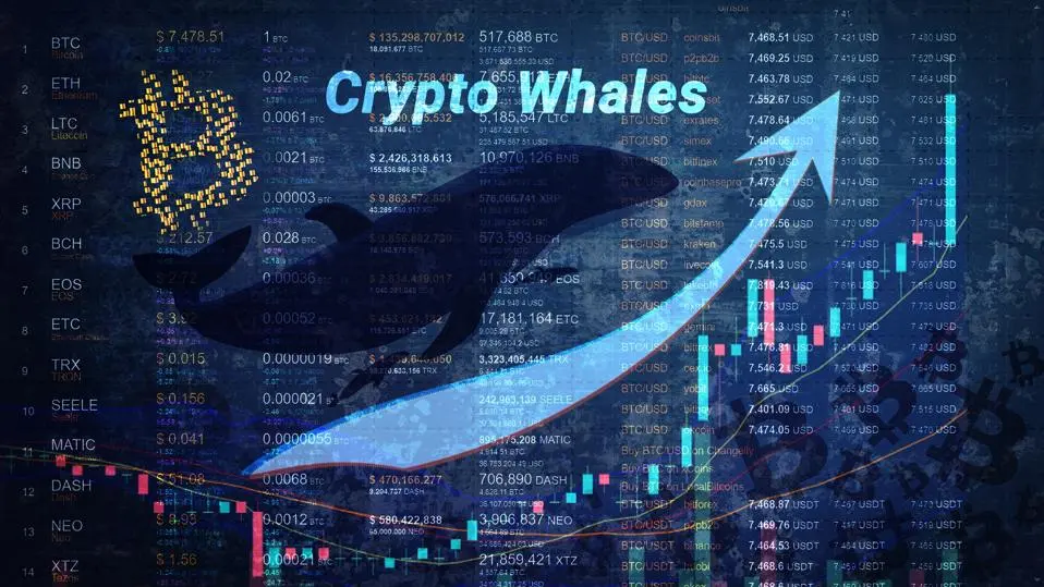 bi-an-insider-whale-up-bo-toan-bo-thi-truong.jpg
