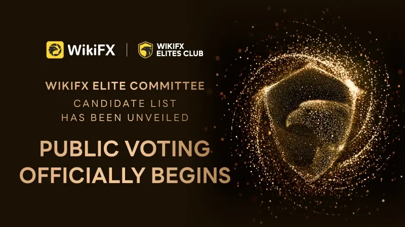 The Elite Committee Candidate List Unveiled, Public Voting Officially Begins!