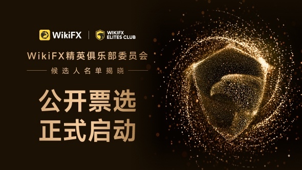精英委员会候选人名单揭晓，公开票选正式开启！
