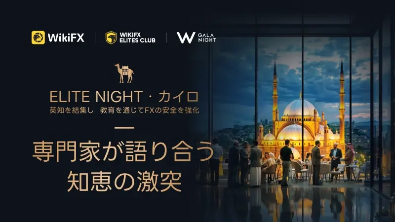Elite Night · Cairo、知恵を集結し、教育で外国為替取引の安全を推進