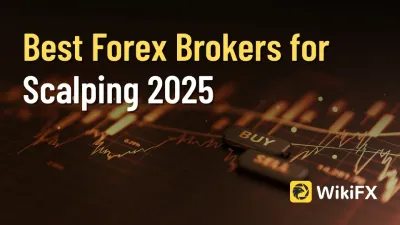 Best Forex Broker in the World 2025: Top Scalping Picks