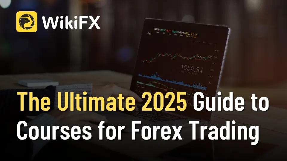 The Ultimate 2025 Guide to Courses for Forex Trading.jpg The Ultimate 2025 Guide to Courses for Forex Trading.jpg