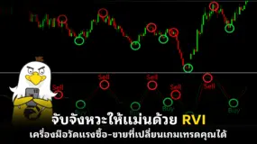 จับจังหวะให้แม่นด้วย RVI เครื่องมือวัดแรงซื้อ–ขายที่เปลี่ยนเกมเทรดคุณได้