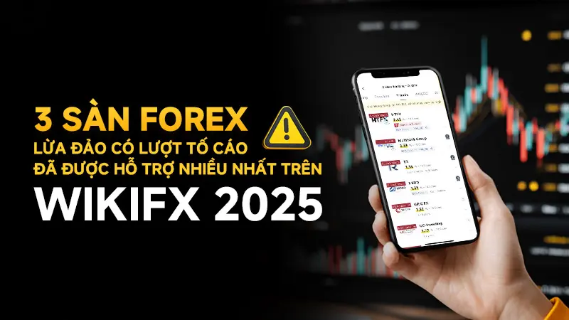 Top 3 sàn Forex lừa đảo có lượt tố cáo đã được hỗ trợ nhiều nhất trên WikiFX 2025