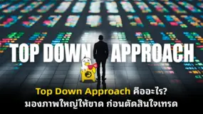 Top Down Approach คืออะไร? มองภาพใหญ่ให้ขาด ก่อนตัดสินใจเทรด