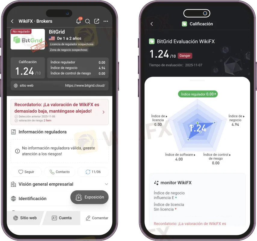 BitGrid opiniones BitGrid opiniones