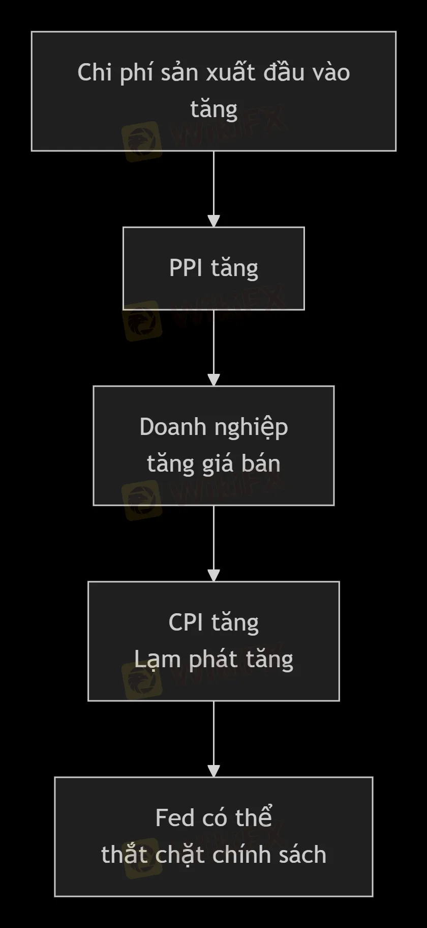 moi-quan-he-giua-cpi-va-ppi.png