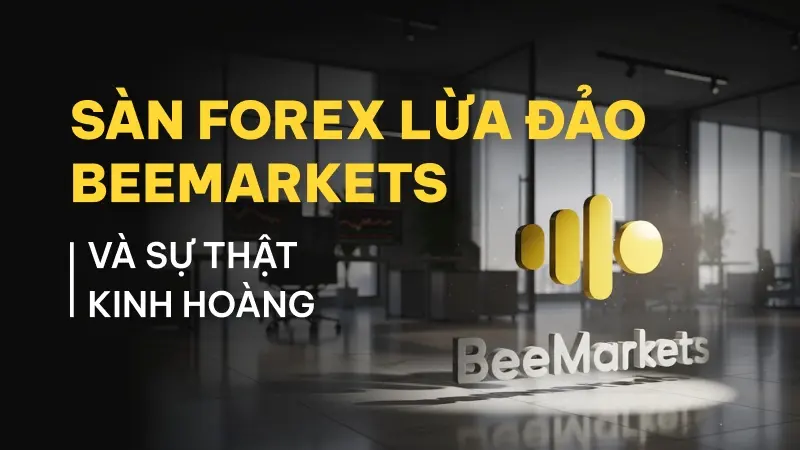 WikiFX cảnh báo sàn Forex lừa đảo BeeMarkets: Sự lừa dối tinh vi từ "giấy phép ma"