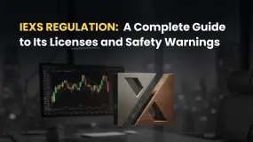 IEXS Regulation: A Complete Guide to Its Licenses and Safety Warnings