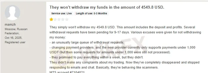 493b3725-5054-427b-86ed-dfd38189eb39.jpeg 493b3725-5054-427b-86ed-dfd38189eb39.jpeg