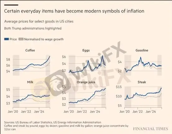 (图一、日常用品成为现代通胀现象;资料来源:Financial Times)